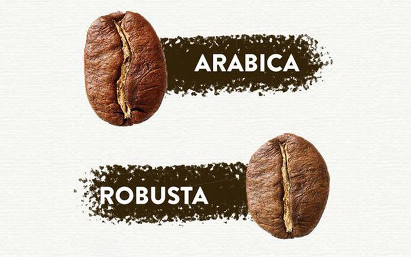 بهترین ترکیب قهوه عربیکا و روبوستا چیست؟